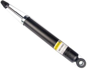 rs316933 RAISO Амортизатор