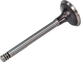 Впускной клапан AE V90321