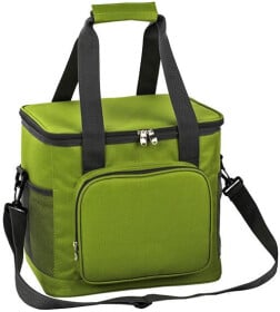 Термосумка Time Eco TE-320S 6215028111575GREEN 20 л