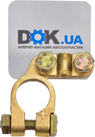 Головне фото