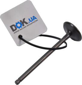 Впускной клапан Mazda ZY0112111A