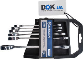 Набор ключей комбинированных трещоточных Стандарт NGW6ST 8-17 мм 6 шт