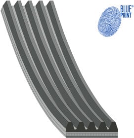 Поліклиновий ремінь Blue Print AD05R1637