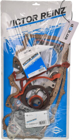 Комплект прокладок полный Reinz 01-24840-07