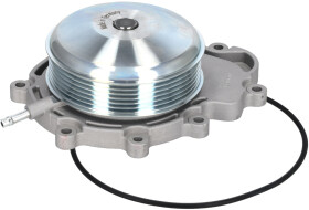 Головне фото