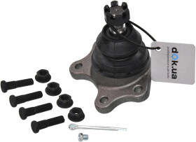 Головне фото