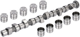 Комплект распредвала Febi 05444