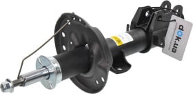 rs315126 RAISO Стойка амортизатора