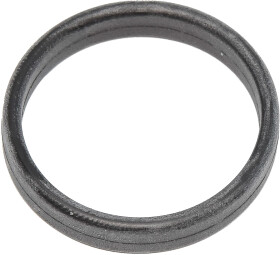 Прокладка впускного коллектора Reinz 71-31647-00