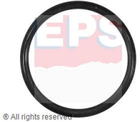 Прокладка термостата EPS 1890675