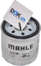 Головне фото