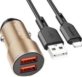 USB зарядка в авто Borofone BZ19 BZ19LG