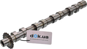 Распредвал INA 428016010