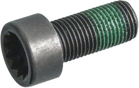 Головне фото