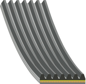 Поликлиновой ремень Febi 184931