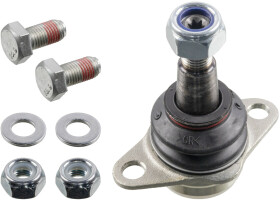 Головне фото