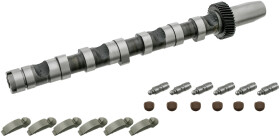 Комплект распредвала Febi 29920