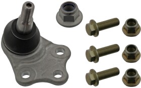 Головне фото