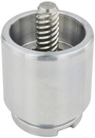 Поршень тормозного суппорта Febest 2176ttgr