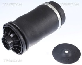 Пневмоподушка підвіски Triscan 872023204