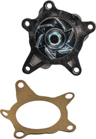 Головне фото