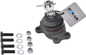 Головне фото