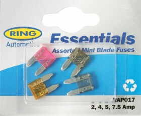 Набір запобіжників Ring RAP017 FN mini 4 шт.