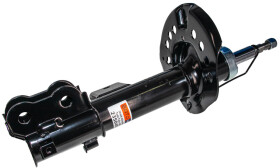 Головне фото