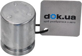 Поршень тормозного суппорта Autofren Seinsa D025636