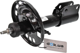 Головне фото