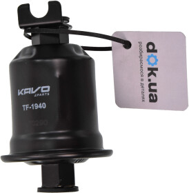 Головне фото