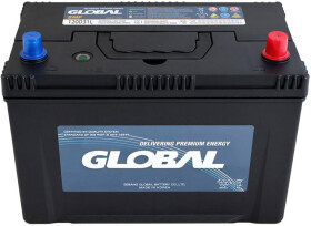 Аккумулятор Wai Global 6 CT-95-R SMF SMF120D31L