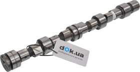 Распредвал INA 428005810