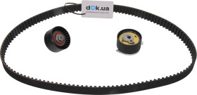 Комплект ремня ГРМ INA 530066210