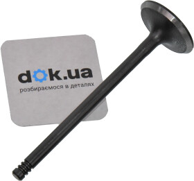 Впускной клапан BGA V029375