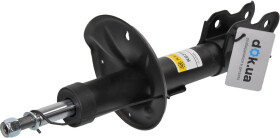 Головне фото