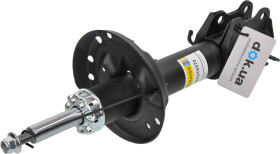 Амортизатор RAISO rs315372