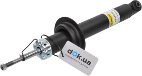 Амортизатор RAISO rs112295