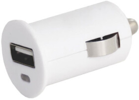 USB зарядка в авто Auto Welle AW06-10W