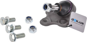 Головне фото