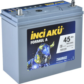 Аккумулятор Inci Aku 6 CT-45-L Formul A Taurus (Asia) NS60045040130