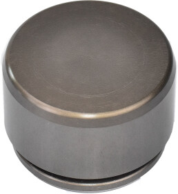 Поршень гальмівного супорта Frenkit P422902