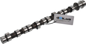 Розподільний вал Hyundai / Kia 2411042501