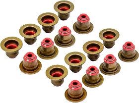 Комплект сальників клапанів Reinz 12-37281-01