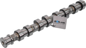 Головне фото