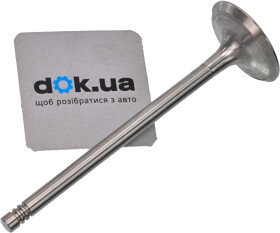 Головне фото