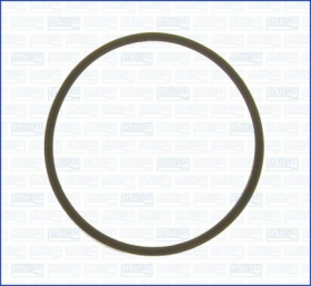 Прокладка термостата Ajusa 00521500