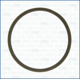 Прокладка термостата Ajusa 00813100