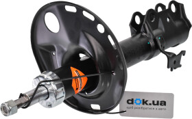 Головне фото