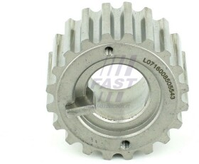 Шестерня балансирного вала Fast ft45604